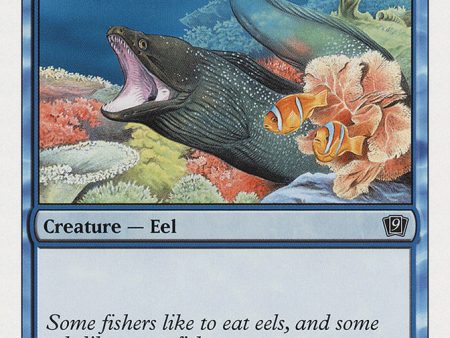 Coral Eel [Ninth Edition] For Cheap