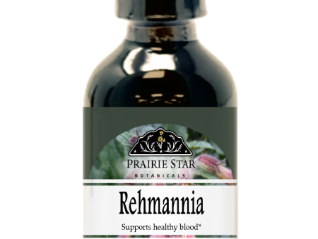 Rehmannia Cheap