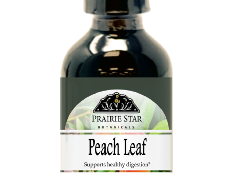 Peach Leaf Hot on Sale