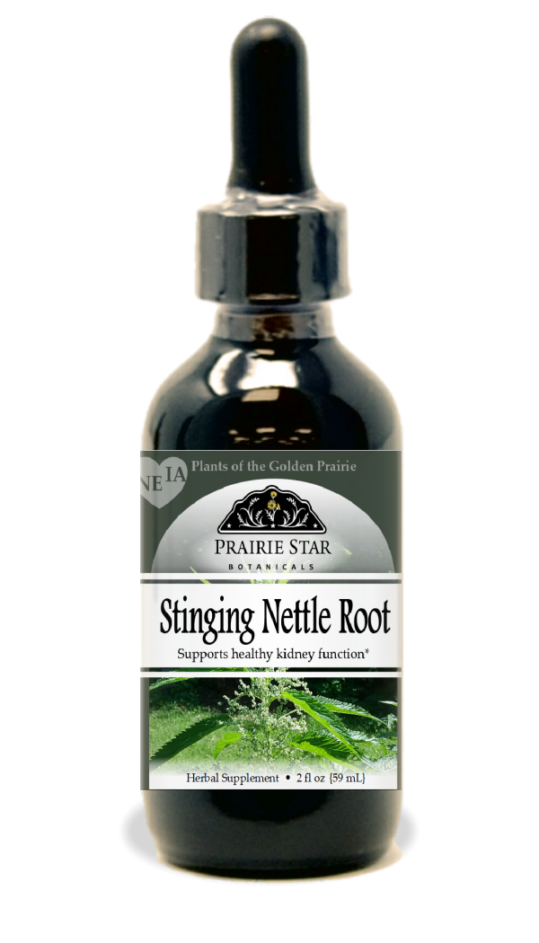 Stinging Nettle Hot on Sale