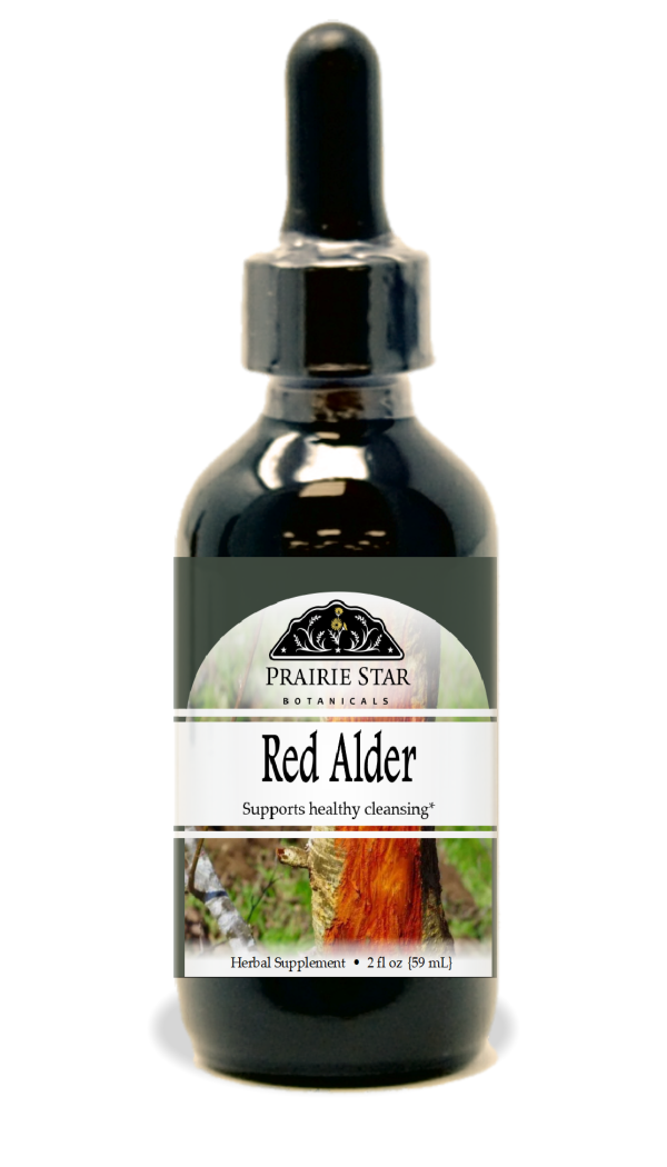 Red Alder Online Hot Sale