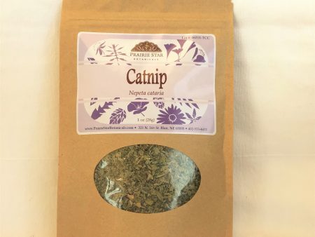 Catnip - Dried Herb Online Hot Sale