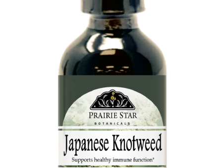 Japanese Knotweed Cheap