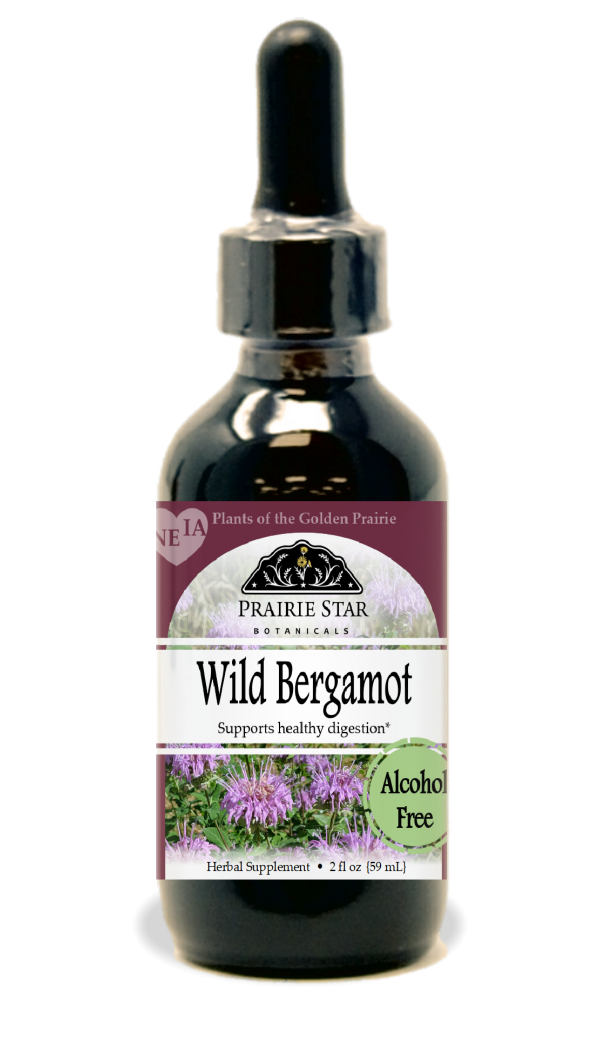 Wild Bergamot Online now