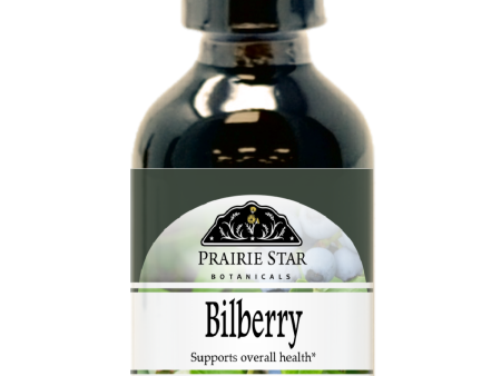 Bilberry Online