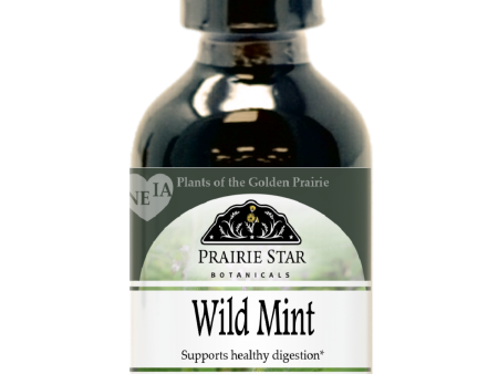 Wild Mint Online