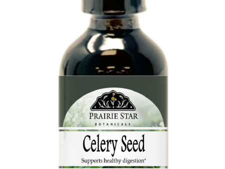 Celery seed Hot on Sale