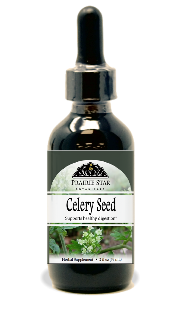 Celery seed Hot on Sale