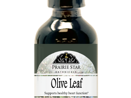 Olive Leaf Hot on Sale