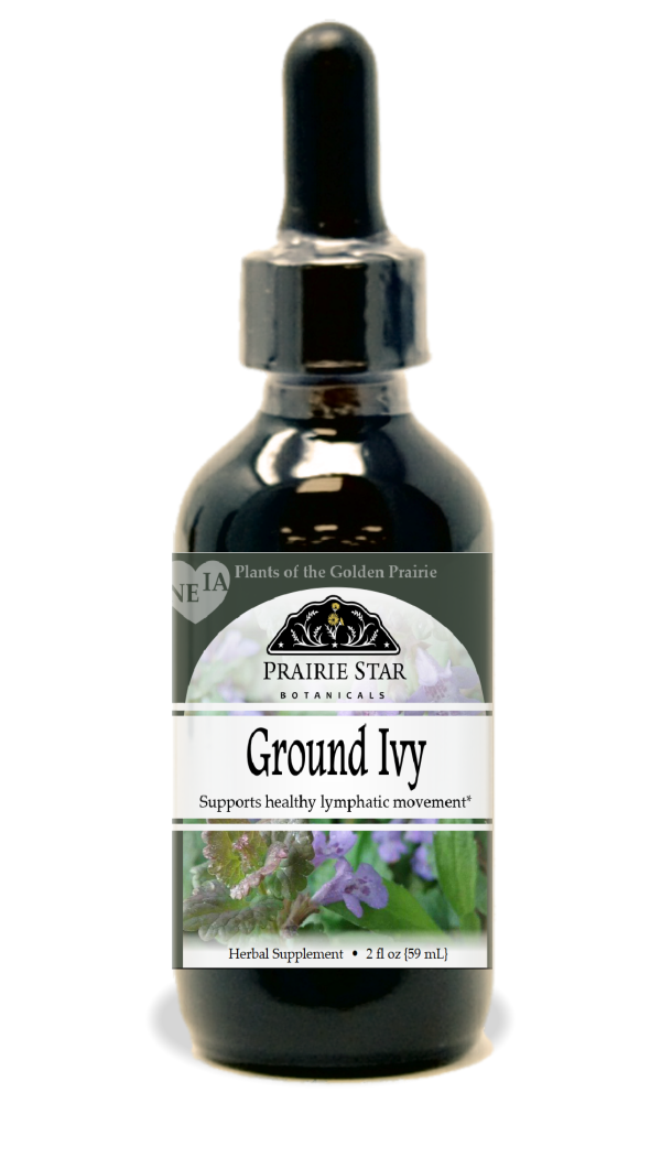 Ground Ivy Discount