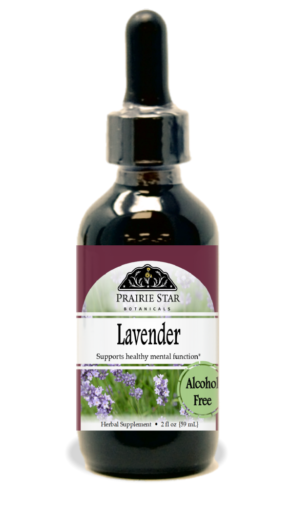 Lavender Hot on Sale