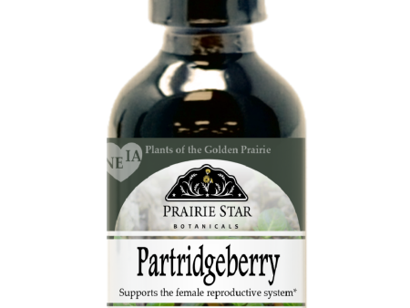 Partridgeberry Sale