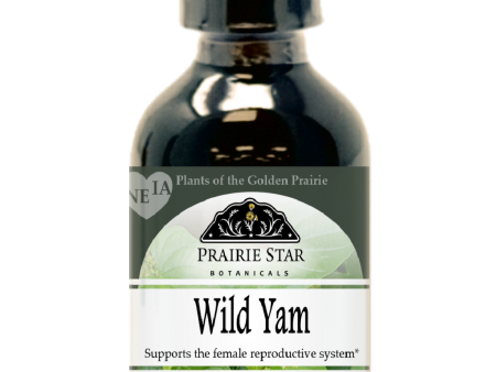 Wild Yam Online