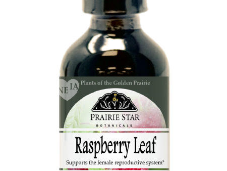 Raspberry Leaf Online Sale