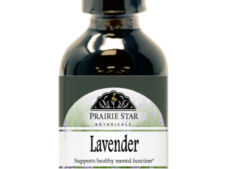 Lavender Hot on Sale