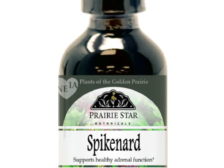 Spikenard Sale