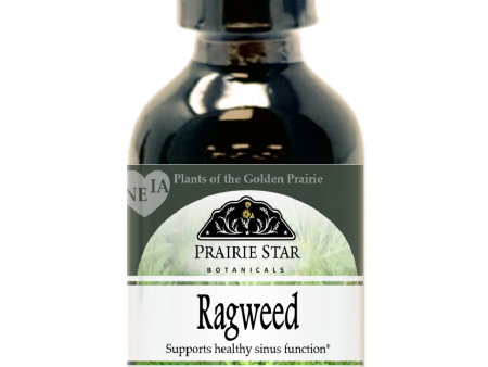 Ragweed For Sale