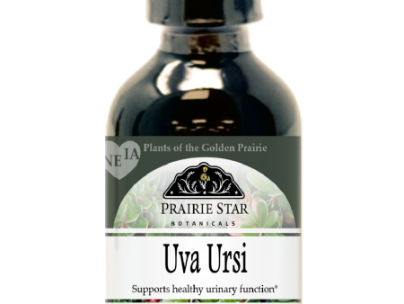 Uva Ursi For Sale