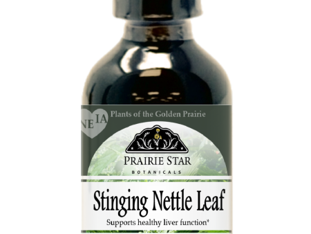 Stinging Nettle Hot on Sale