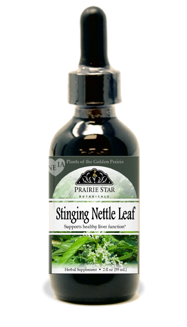 Stinging Nettle Hot on Sale