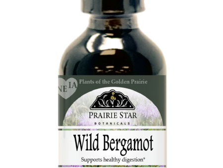 Wild Bergamot Online now