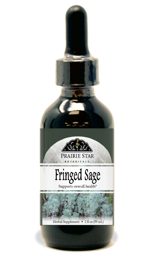 Fringed Sage Online Hot Sale