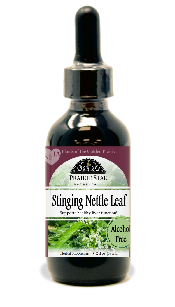 Stinging Nettle Hot on Sale