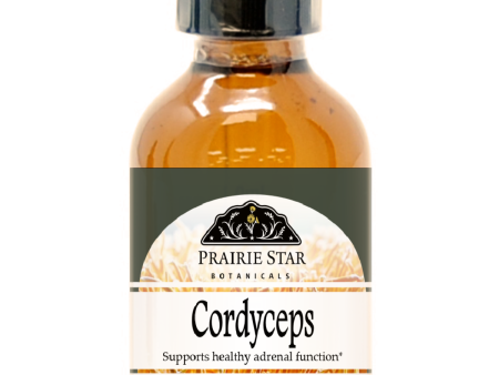 Cordyceps Mushroom For Cheap