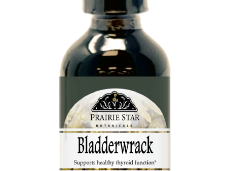 Bladderwrack Online Sale