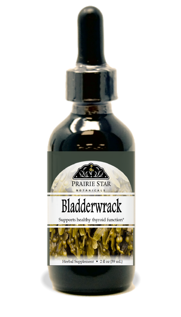 Bladderwrack Online Sale