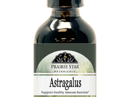 Astragalus on Sale