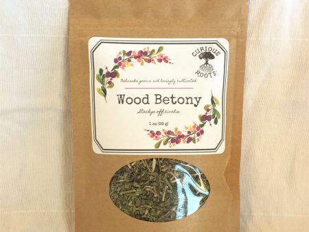 Wood Betony - Dried Herb Cheap