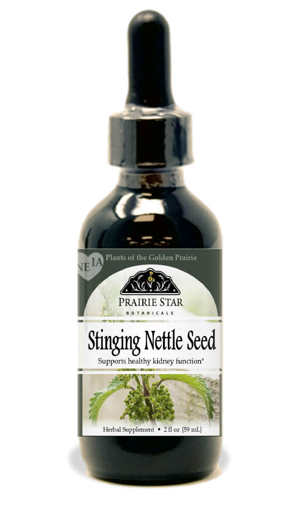 Stinging Nettle Hot on Sale