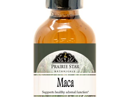 Maca Supply