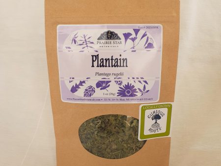 Plantain - Dried Herb Cheap