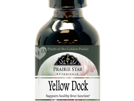 Yellow Dock Online Hot Sale