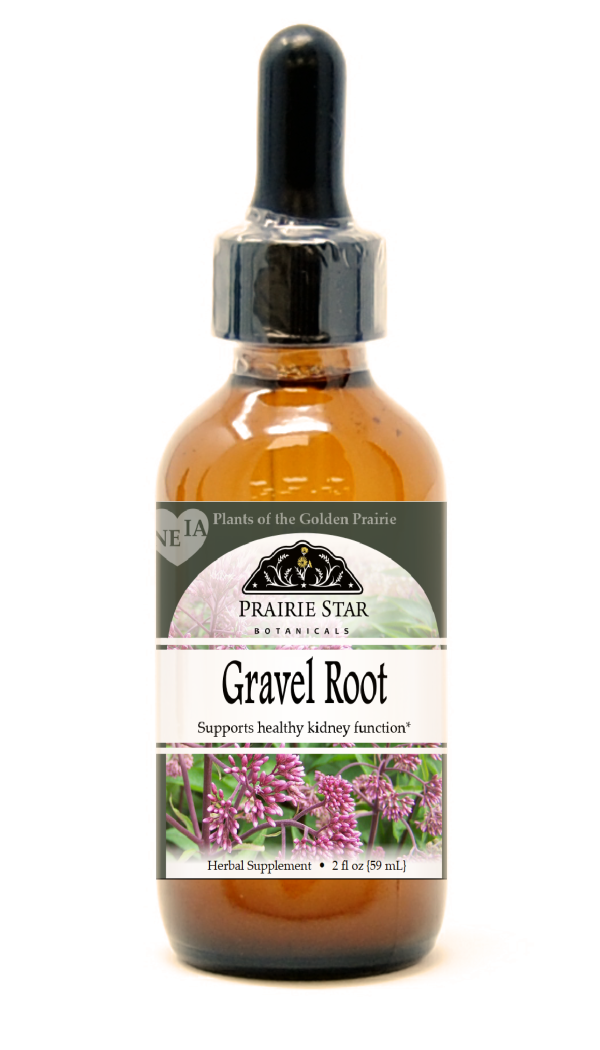 Gravel Root Online Hot Sale