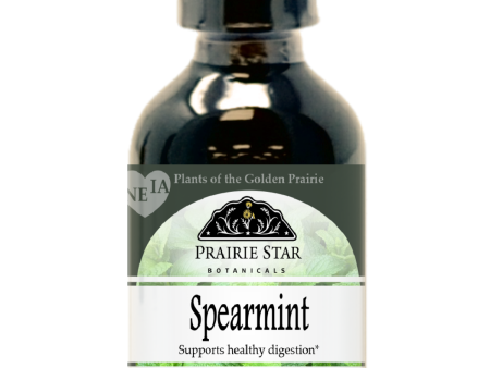 Spearmint For Sale