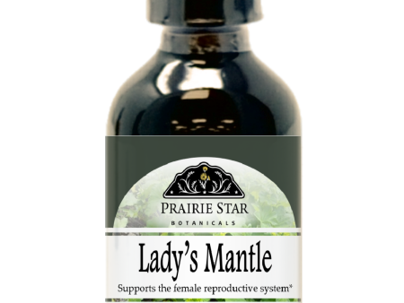 Lady s Mantle For Discount