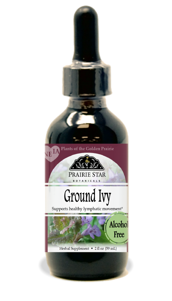 Ground Ivy Discount