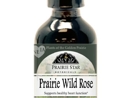 Prairie Wild Rose Cheap